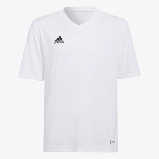 adidas Dres Entrada 22 