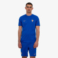 Nike FFF M NK DF STRK SS TOP K 