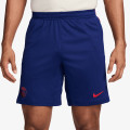 Nike PSG M NK DF STRK SHORT KZ 