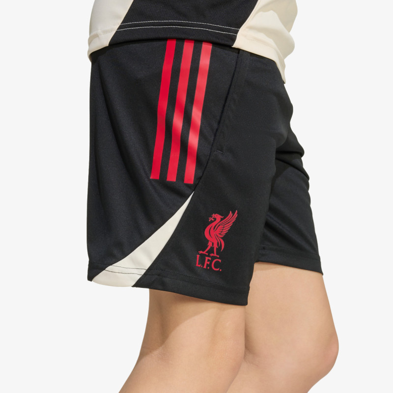 adidas LFC TR SHO Y 