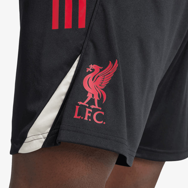 adidas LFC TR SHO 
