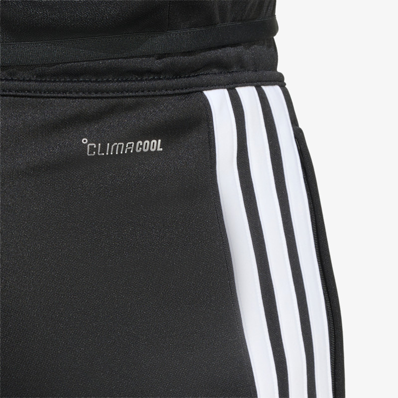 adidas TIRO26L  TRPNTS 