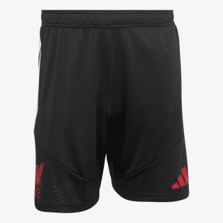 adidas LFC TR SHO 