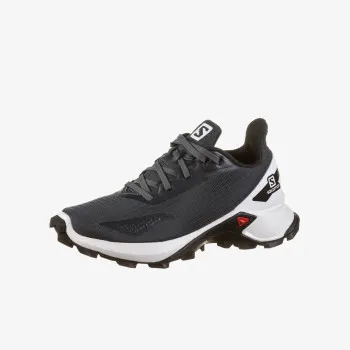 SALOMON Alphacross Blast 