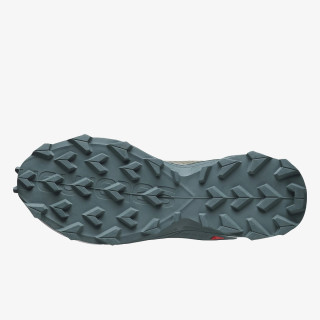 Salomon Alphacross Blast 