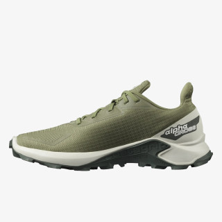 Salomon Alphacross Blast 
