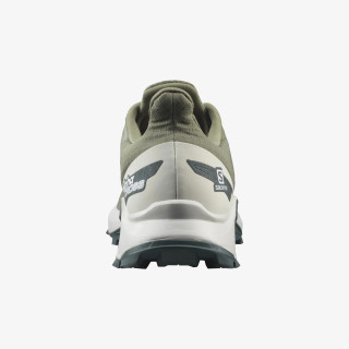 Salomon Alphacross Blast 