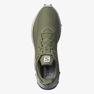 Salomon Alphacross Blast 
