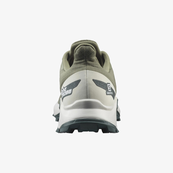 Salomon Alphacross Blast 