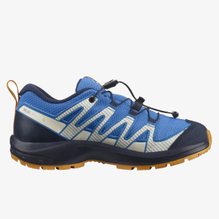 Salomon XA Pro V8 CSWP 