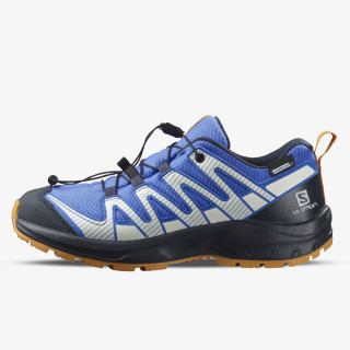 Salomon XA Pro V8 CSWP 