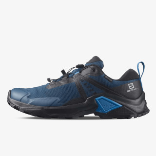 Salomon X RAISE 2 GTX 