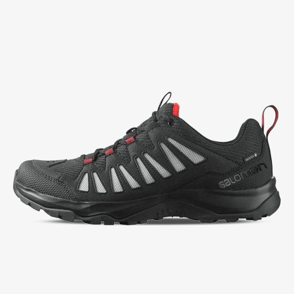 Salomon EOS GTX 