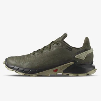 SALOMON SALOMON ALPHACROSS 4 GTX L47116900 