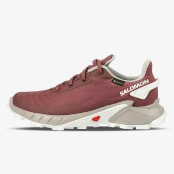 SALOMON ALPHACROSS 4 GTX W 
