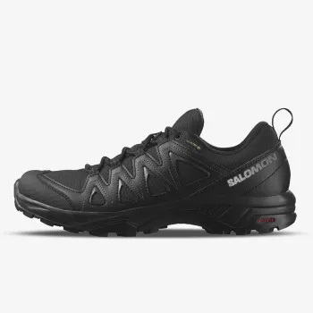 SALOMON SALOMON X BRAZE GTX 