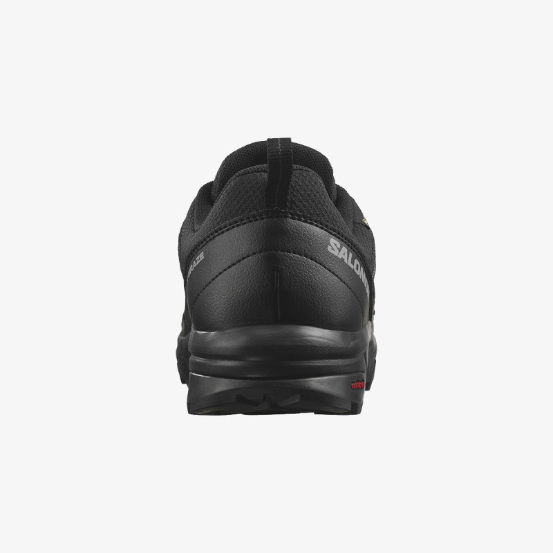 Salomon X BRAZE GTX 