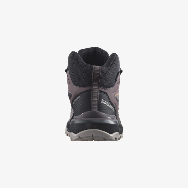 Salomon X Ultra 360 Mid GTX 