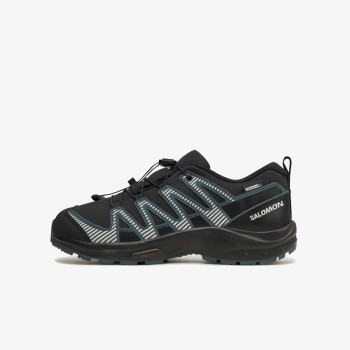 Salomon XA Pro V8 CSWP 