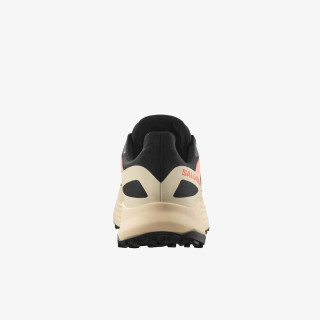 Salomon Ultra Flow 