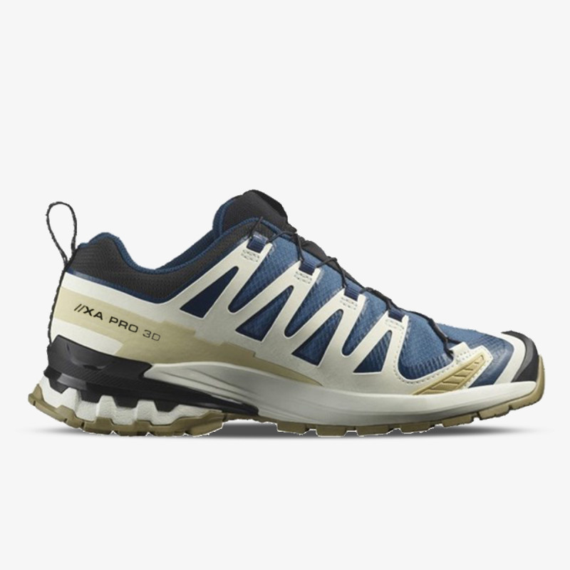 Salomon XA PRO 3D V9 GTX Bl/I 