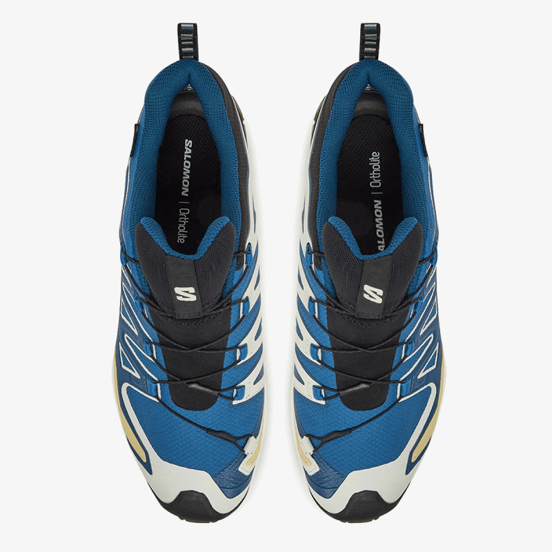 Salomon XA PRO 3D V9 GTX Bl/I 