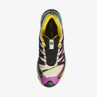 Salomon XA PRO 3D V9 GTX W Ty 
