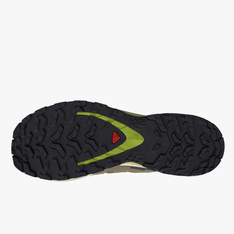 Salomon XA Pro 3D V9 GTX 