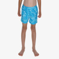 Nike 4 inch Volley Short 