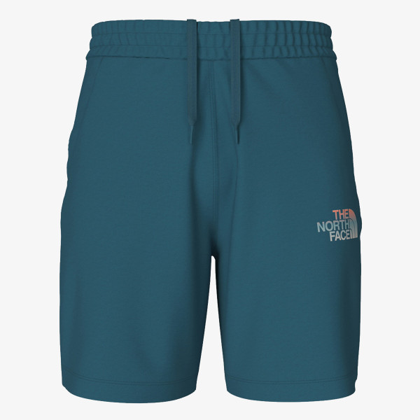 The North Face Men’s D2 Graphic Short - Eu 