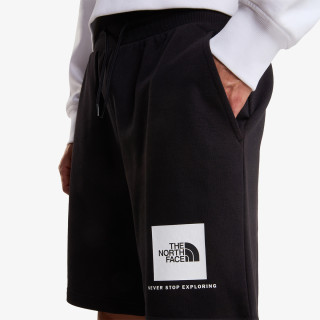 The North Face BOX NSE LIGHT REGULAR SHORTS 