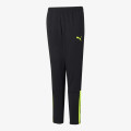 Puma TEAMLIGA TRAINING PANTS JR 
