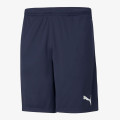 Puma teamRISE Training Shorts 