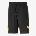 Puma POWER SHORTS 