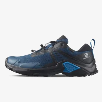 SALOMON X RAISE 2 GTX 