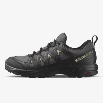 SALOMON X BRAZE GTX 