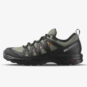 Salomon X BRAZE GTX 